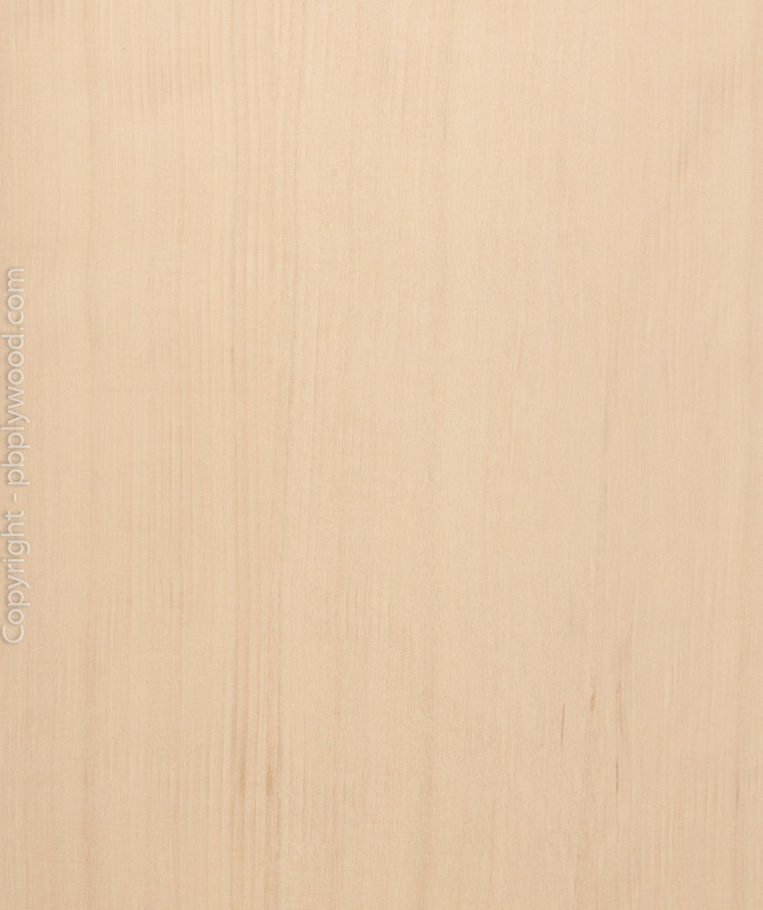 Hornbeam Veneer Moisture Resistant Chipboard Peter Benson Plywood Ltd